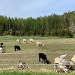 Lammastilan Laavu - Lean To Inarin Tila Salo (Salo)