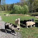 Lammastilan Laavu - Lean To Inarin Tila