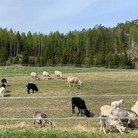 Lammastilan Laavu - Lean To Inarin Tila 萨罗